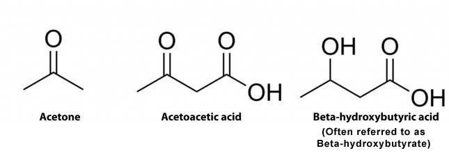 ketone-bodies